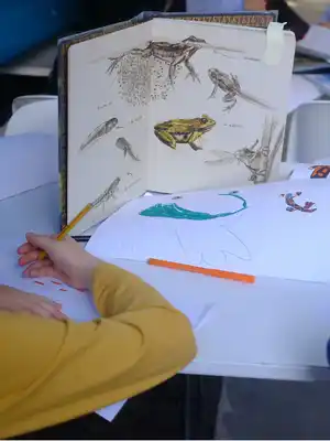 Capture d’écran 2024-05-27 à 13.23.32.png