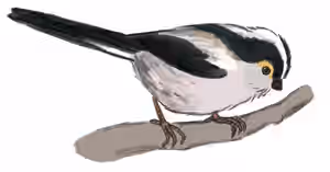 Capture d’écran 2025-12-04 à 15.32.19.png